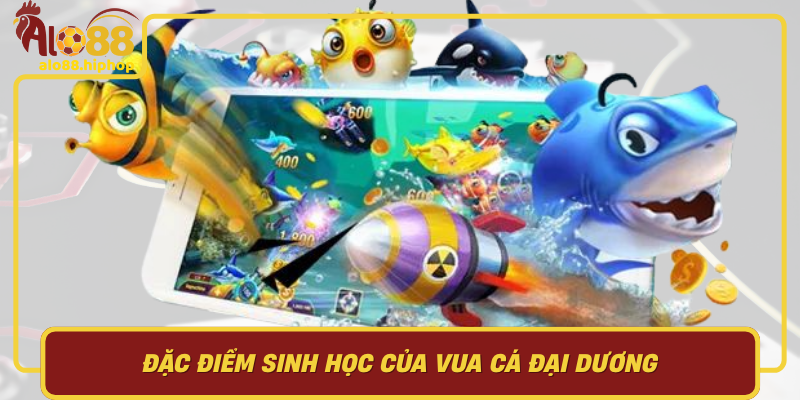 Đặc Điểm Sinh Học Của Vua Cá Đại Dương