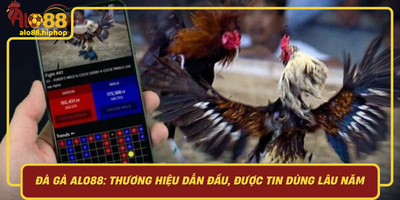 Đá Gà Alo88 - Thương Hiệu Dẫn Đầu Được Tin Dùng Lâu Năm
