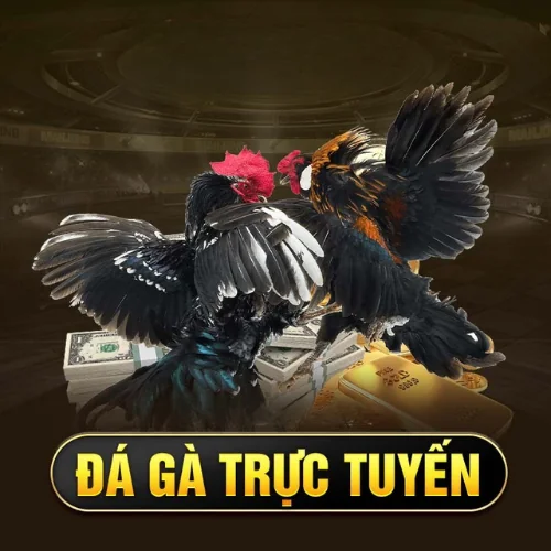 Alo88 - Nền Tảng Giải Trí Thông Minh, Chơi Mượt, Thưởng Đã 9 1