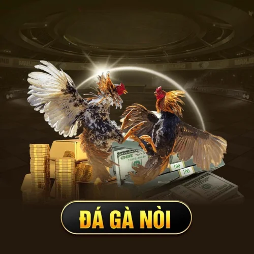 Alo88 - Nền Tảng Giải Trí Thông Minh, Chơi Mượt, Thưởng Đã 14 6
